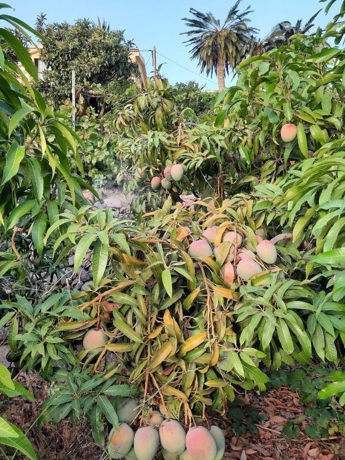 Casa Rural La Vega Alojera Luaran gambar