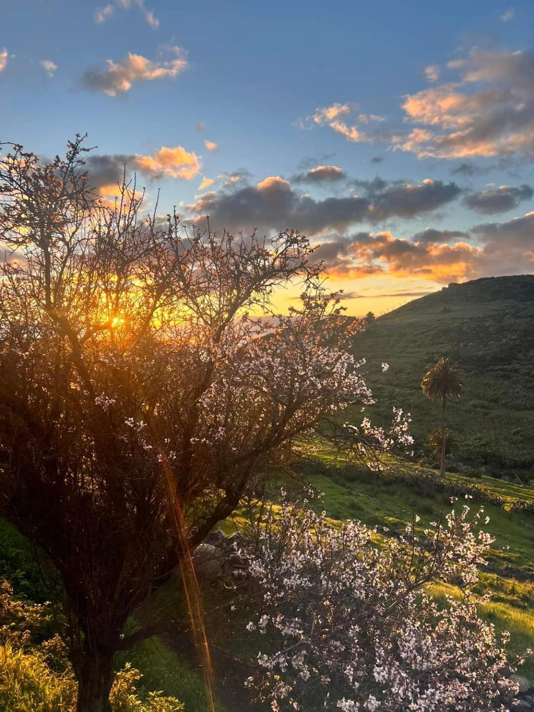 Casa Rural La Vega Alojera Luaran gambar